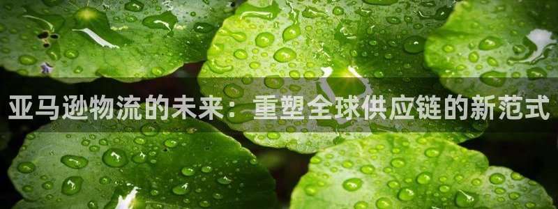 旺财28充值：亚马逊物流的未来：重塑