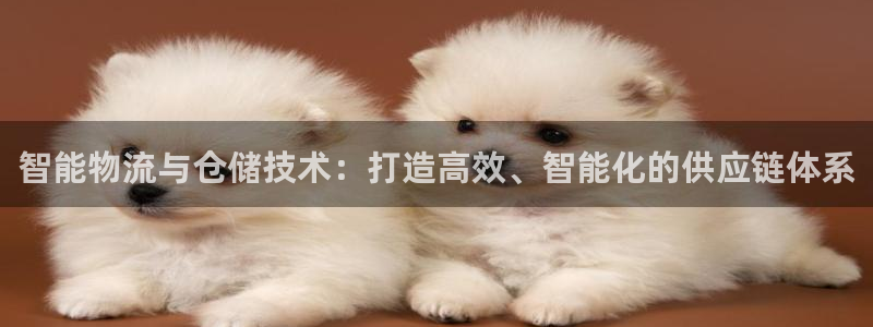 旺财28不给提现：智能物流与仓储技术：打造高效、智能化的供应