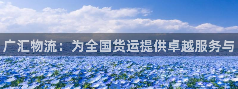 旺财28充值不到账怎么回事：广汇物流