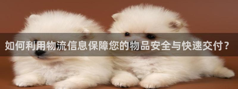 旺财28下载二维码怎么弄：如何利用物