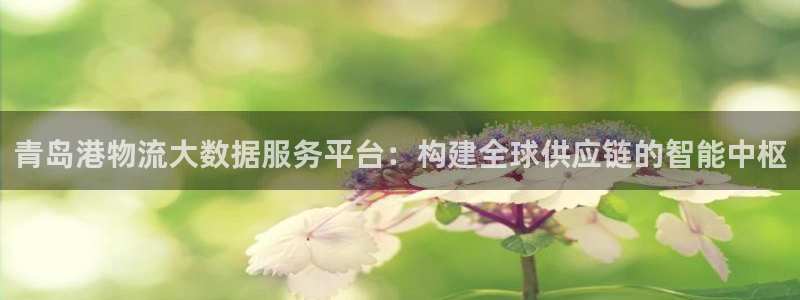 旺财28官网下载：青岛港物流大数据服