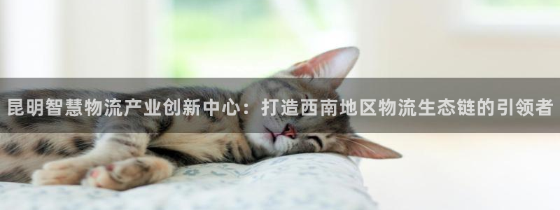 南宫旺财28怎么注册：昆明智慧物流产