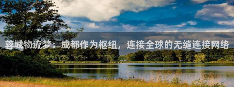 旺财28预测网：蓉城物流梦：成都作为枢纽，连接全球的无缝连接