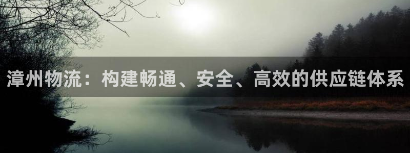 旺财28软件是诈骗吗：漳州物流：构建