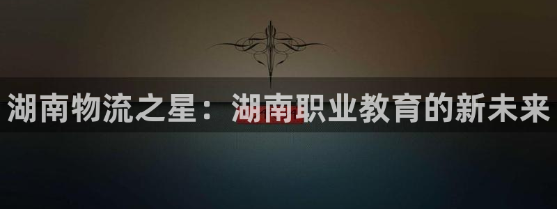 旺财28赌博被抓：湖南物流之星：湖南