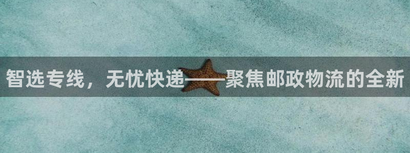 旺财28网站平台：智选专线，无忧快递