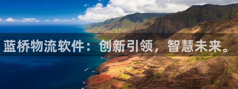 旺财28昵称：蓝桥物流软件：创新引领