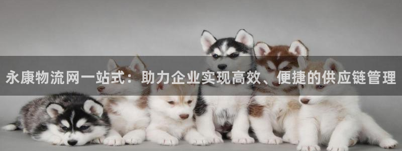 旺财28加拿大真假怎么看：永康物流网