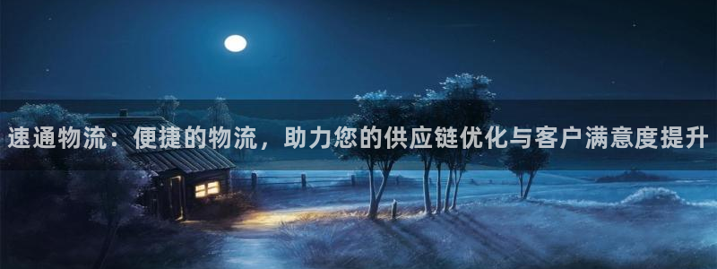 旺财28稳吗：速通物流：便捷的物流，