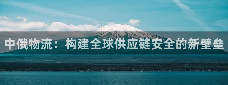 旺财28官网版2024：中俄物流：构