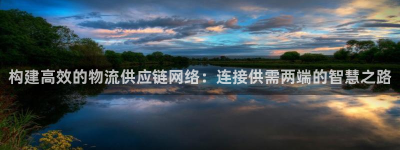 旺财28赌博软件正规吗：构建高效的物