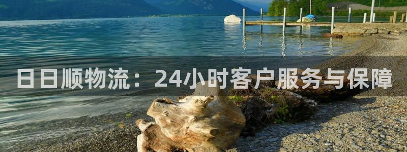 旺财28下载不了：日日顺物流：24小