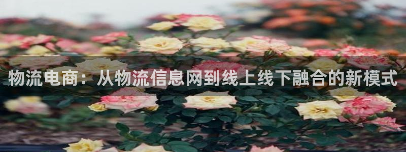 旺财28注册步骤：物流电商：从物流信