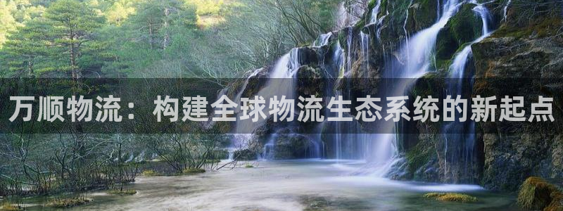 旺财28注册：万顺物流：构建全球物流