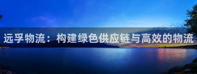 旺财28模拟器在线使用：远孚物流：构
