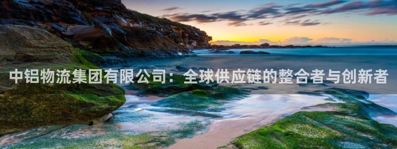 旺财28大神预测：中铝物流集团有限公