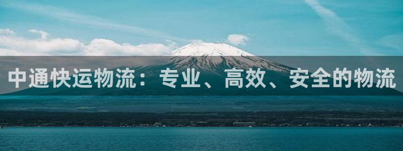 旺财28怎么下载不了：中通快运物流：