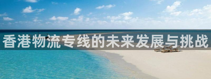 旺财28电子：香港物流专线的未来发展