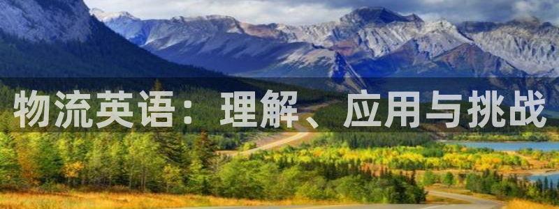 旺财28加拿大模拟器：物流英语：理解