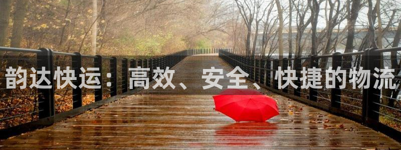 旺财28百度百科:韵达快运:高效、安