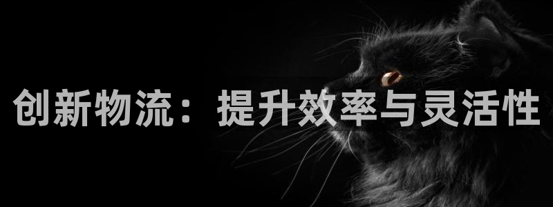 旺财28注册链接:创新物流:提升效率