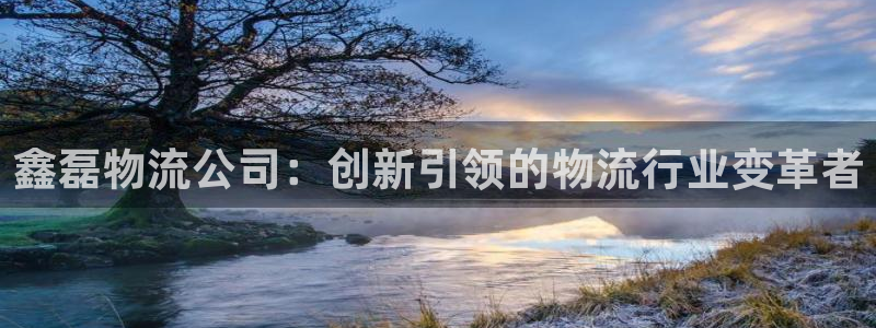 旺财28能不能退:鑫磊物流公司:创新