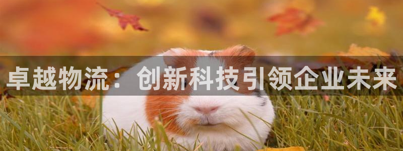 旺财28游戏：卓越物流：创新科技引领企业未来